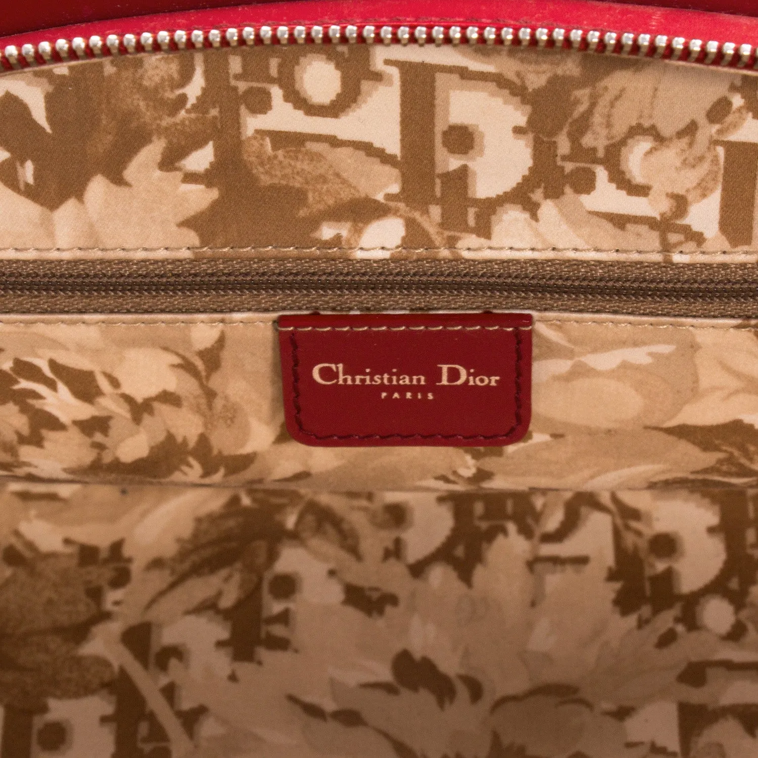 Christian Dior Detective Bag