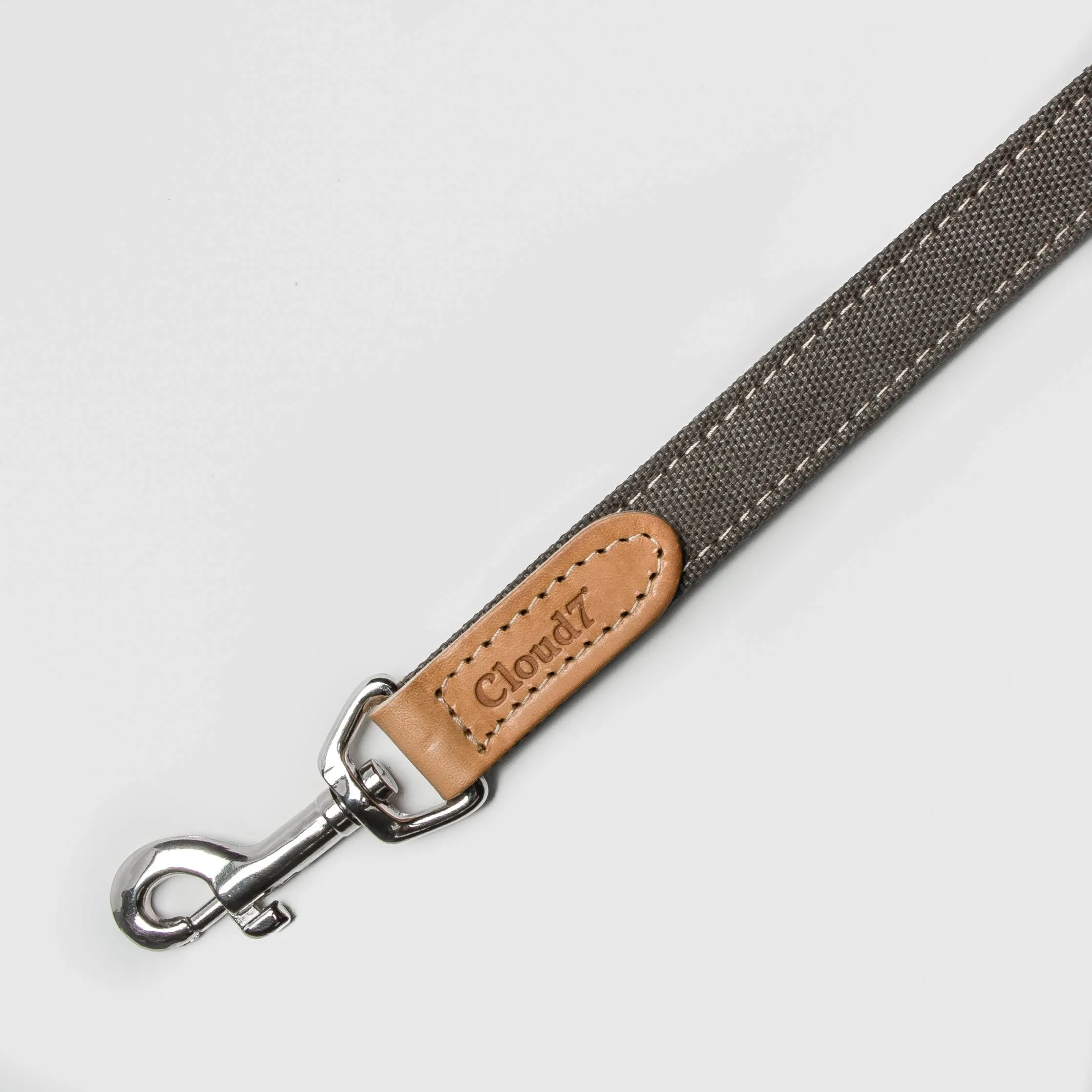 Dog Leash Tivoli